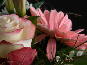 Rose/Gerbera