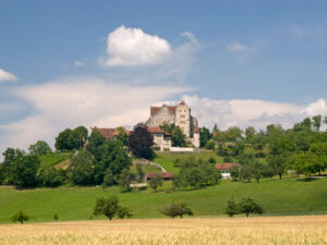 Schloss Wildegg mit Kornfeld