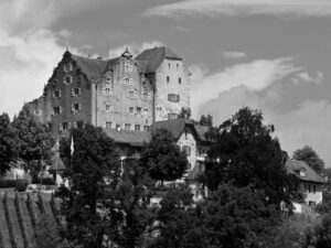 Schloss Wildegg s/w