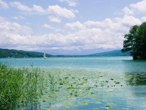 Hallwilersee