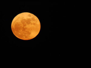 Mond