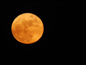 Mond in orange